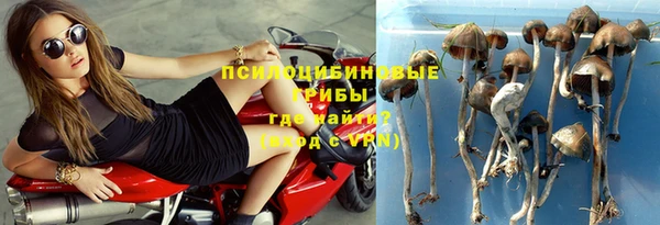 каннабис Щигры