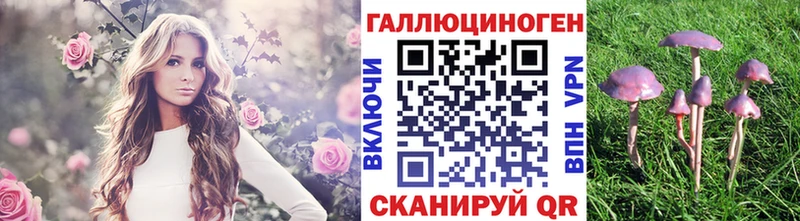 Псилоцибиновые грибы Psilocybe  blacksprut tor  Кисловодск 