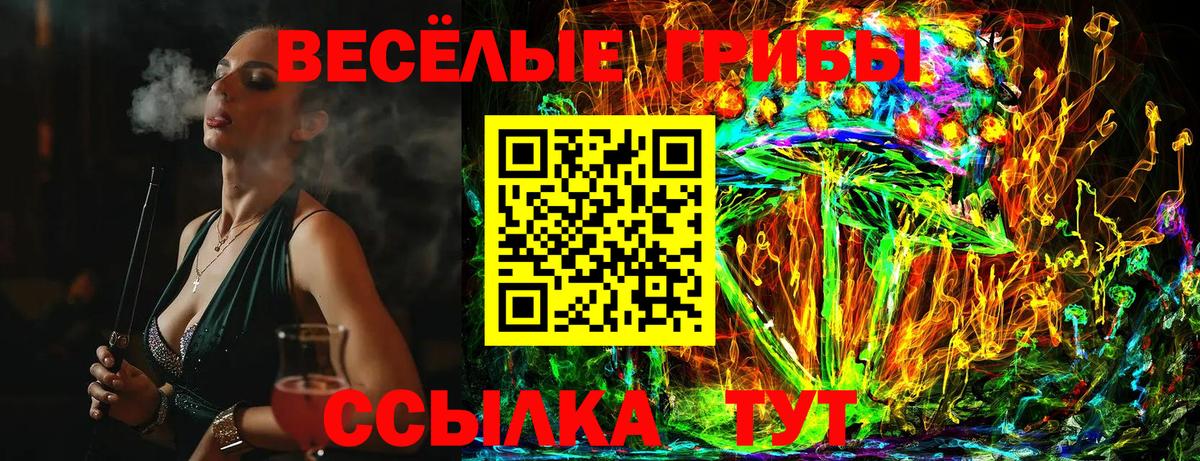 Кисловодск  Галлюциногенные грибы GOLDEN TEACHER  Вход с VPN 