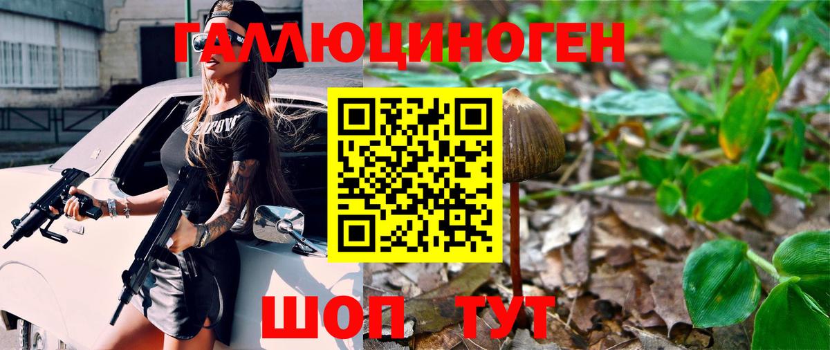 Галлюциногенные грибы MAGIC MUSHROOMS Кисловодск