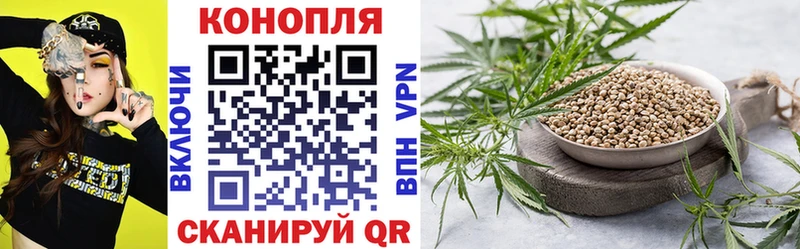 Шишки марихуана OG Kush Кисловодск